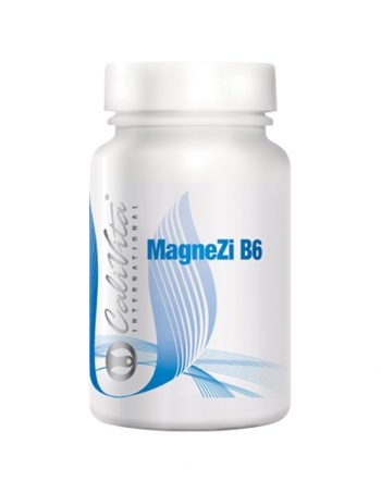 MagneZi-B6-(90-tableta)